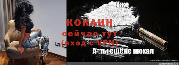 гидра Вяземский