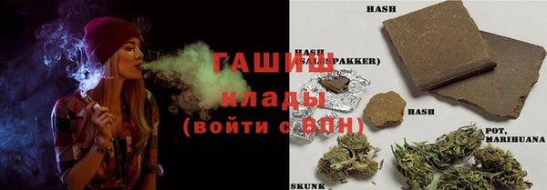гидра Вяземский