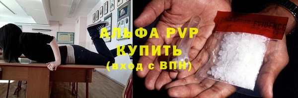 прущие грибы Снежногорск