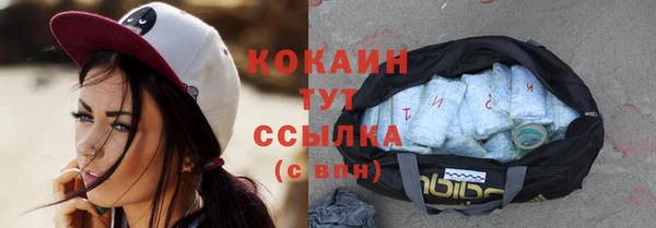 шишки Вязьма
