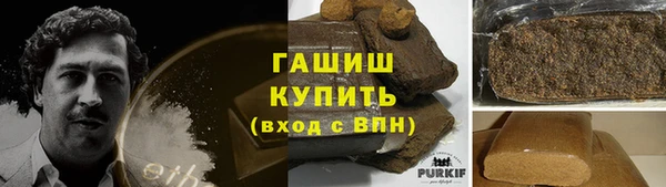 гидра Вяземский