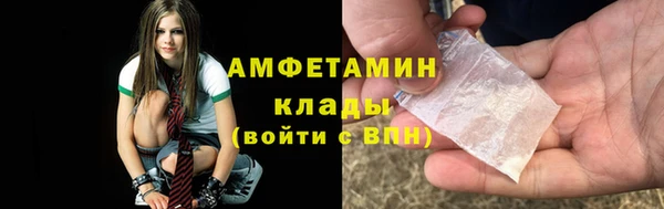 гидра Вяземский
