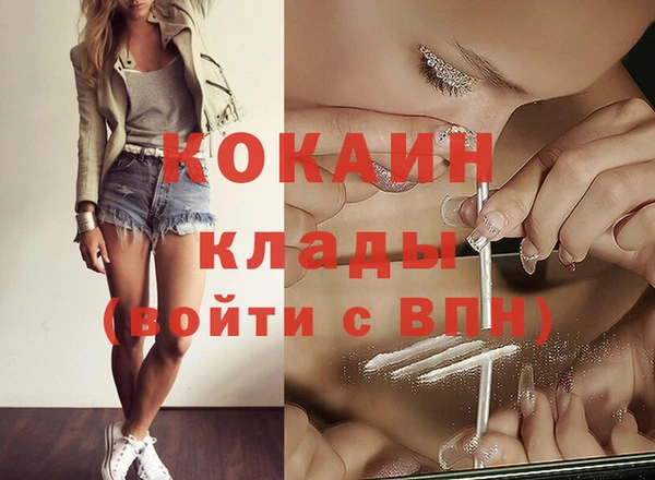 гидра Вяземский