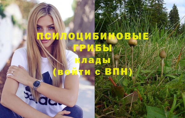 шишки Вязьма