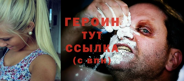 гидра Вяземский