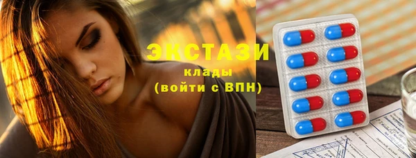 гидра Вяземский
