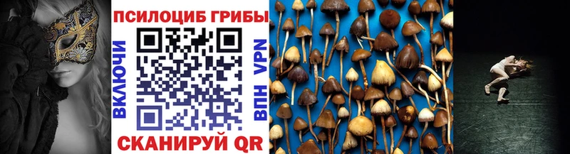 Галлюциногенные грибы мицелий  Купить  Канаш 