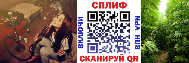 Купить где  Канаш  Шишки марихуана сатива 